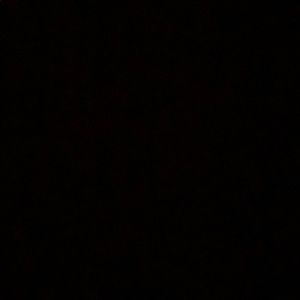 Meet your Posher, Tom